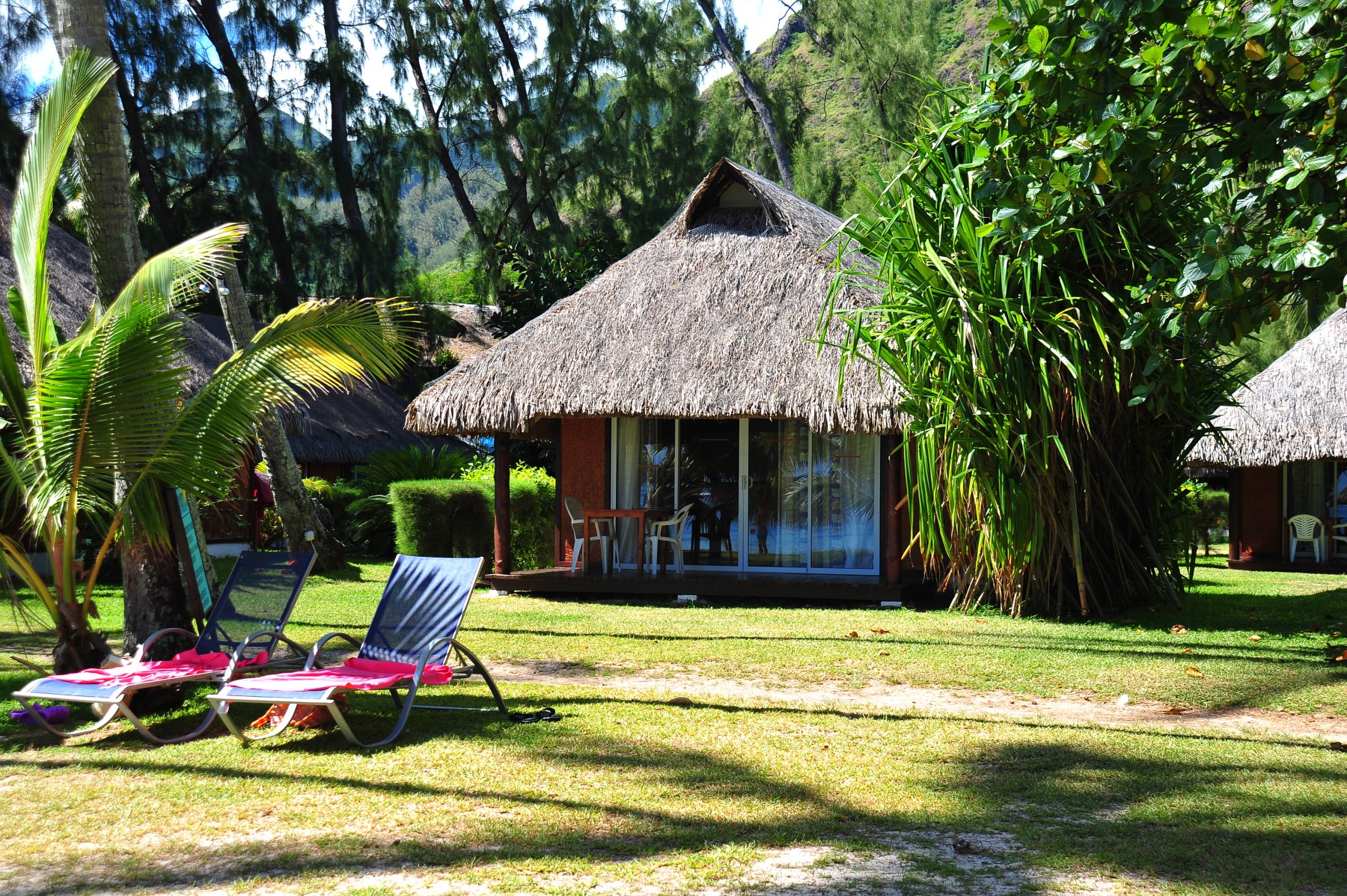 Pension Les Tipaniers